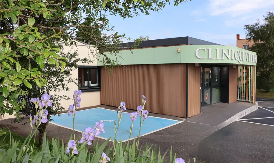 La clinique vue du jardin : bâtiment bardé de bois, bandeau vert « Clinique vétérinaire », iris en fleurs au premier plan.